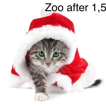 Zwykle Mieszkanie Na Wilenska, Trzy Przystanki Do Starego Miasta,dwa Przystanki Do Szpitala Praskiego,одна остановка транспорта до офиса для прохождения теста Ces для моряков